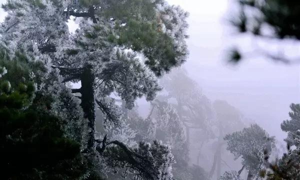 激萌三国志