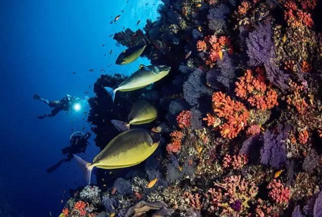 海扶刀 能治疗子宫腺肌症吗游戏画面